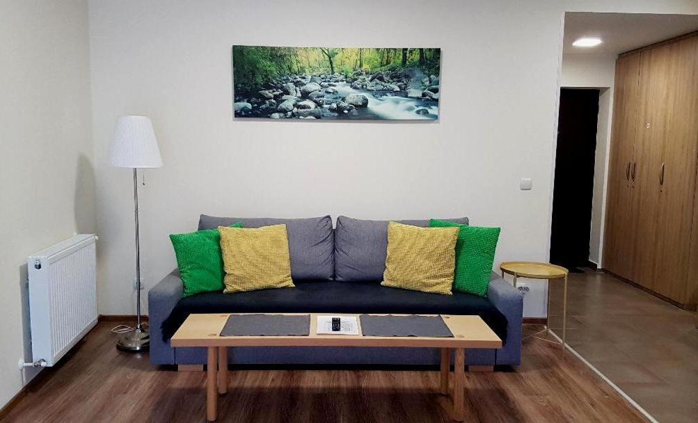 Studio Mountain View Sinaia Eksteriør bilde