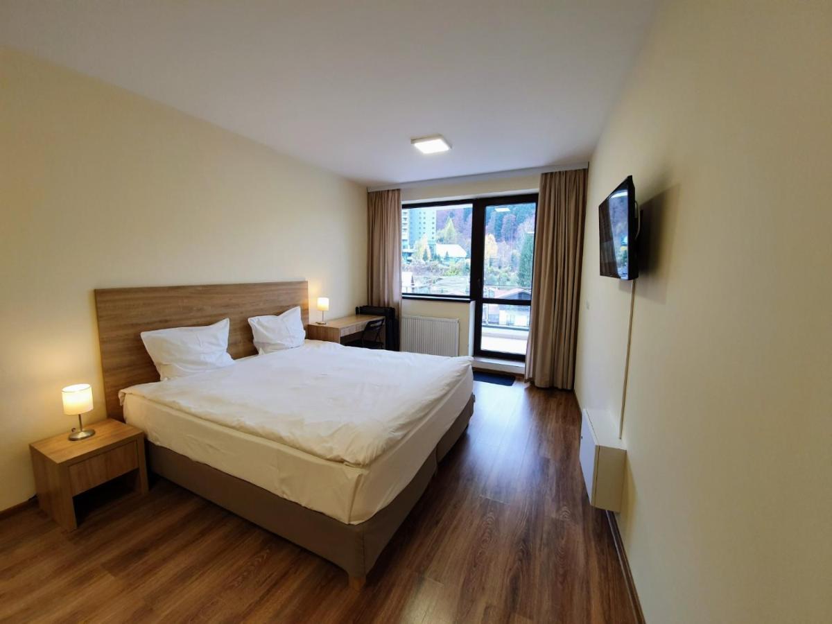 Studio Mountain View Sinaia Eksteriør bilde